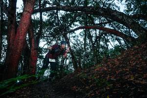 BIB: 
                            <button type="button" onclick="openModal(26343026)" class="btn btn-primary btn-sm float-right btn-popup" data-toggle="modal" data-target=".modal-high-quality">
                        <i class="fas fa-shopping-cart"></i> Add to Cart
                    </button>
                                            <button type="button" onclick="isThisMe(26343026, true)" class="btn btn-success btn-sm float-right btn-popup btn-isme hidden" data-toggle="tooltip" data-placement="bottom" title="นี่คือรูปของคุณใช่ไหม คลิกที่นี่เพื่อเอาเข้าอัลบั้ม">
                        <i class="fas fa-plus"></i> Add to album
                    </button>
                    <button type="button" onclick="isThisMe(26343026, false)" class="btn btn-warning btn-sm float-right btn-popup btn-isnotme hidden">
                        <i class="fas fa-ban"></i> Remove from album
                    </button>